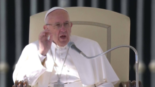 Papa Francisco: Audiencia General